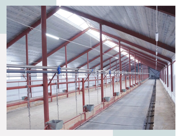 Строительство коровников в Мариинске от 612 руб.