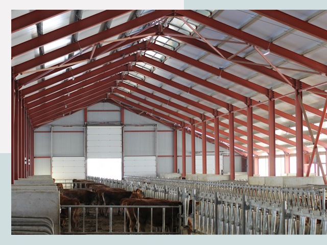 Строительство коровников в Мариинске