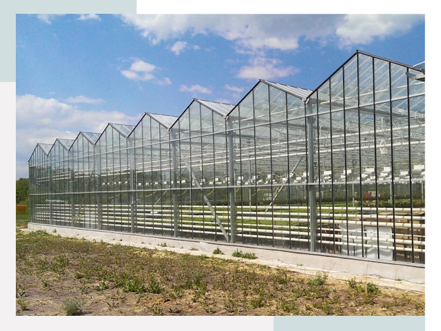 Строительство теплиц в Мариинск от 612 руб. за м²