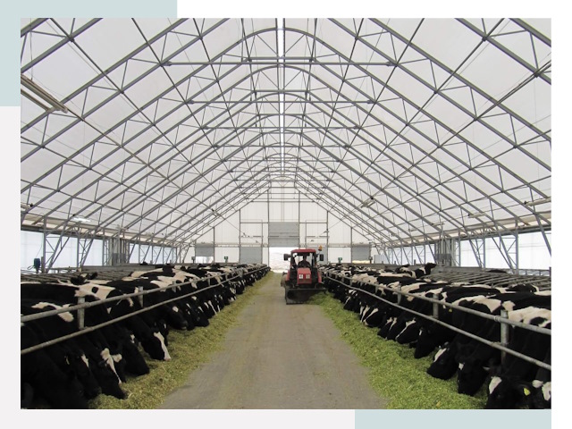 Тентовые коровники в Мариинске от 612 руб. - Надежно и доступно